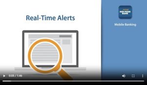 Real-Time Alerts